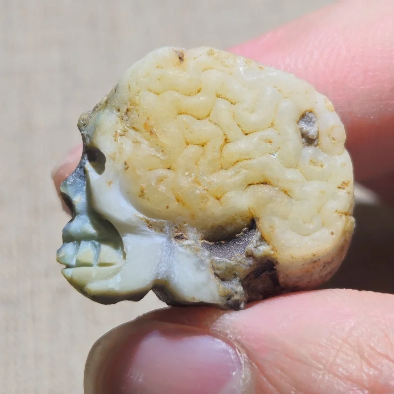 

Natural Stone African Hand Carved Miniature Skull Statue For Witchcraft Chakra Gem Home Decoration