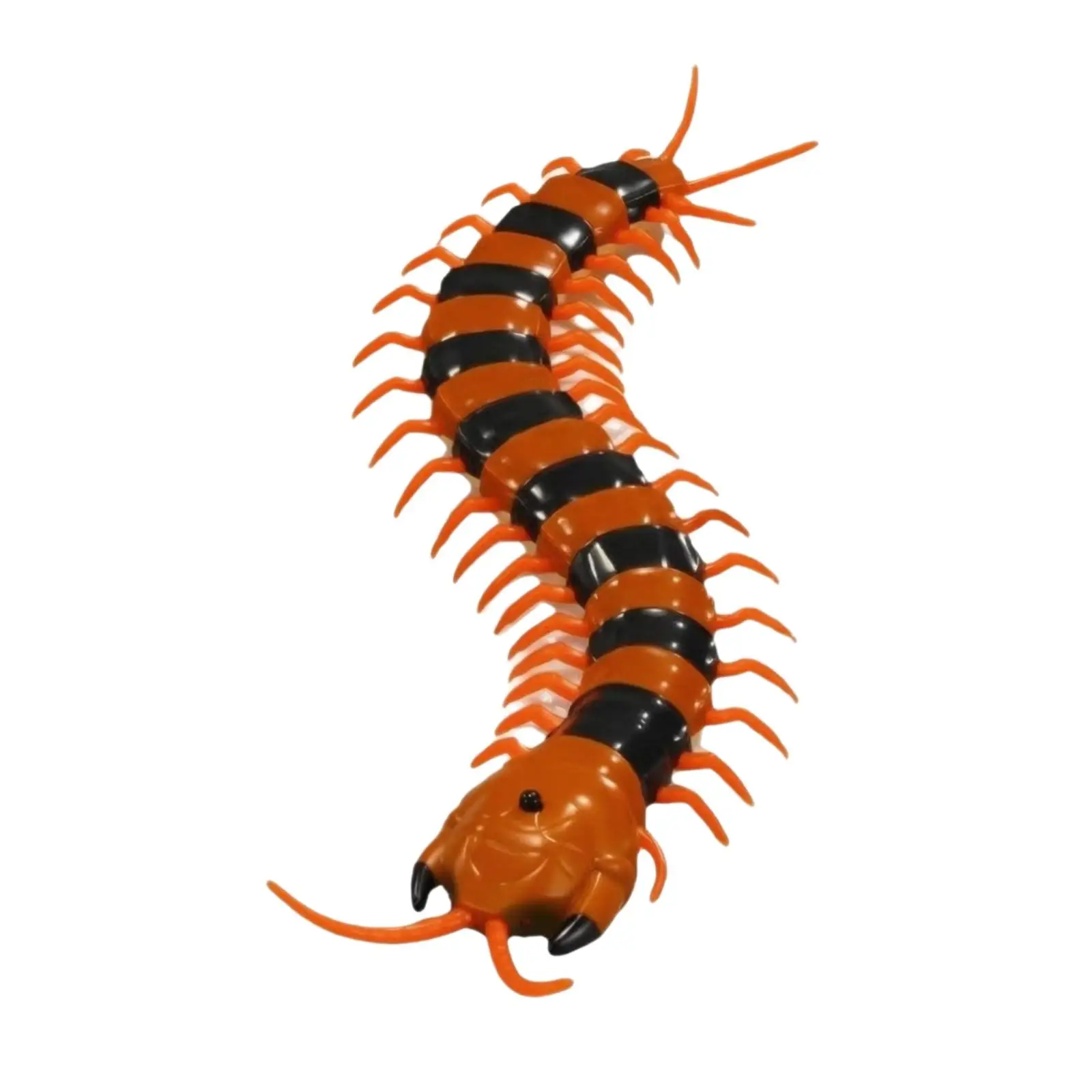 Remote Control Cat Toy Robot with Flexible Body for Indoor Chase Play Pet Activity
