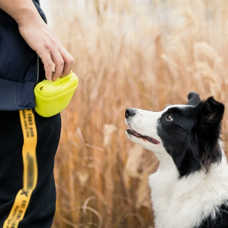 

Pet Portable Dog Training Waist Bag Treat Snack Bait Dogs Obedience Agility Outdoor Feed Storage Pouch Food Reward Waist Bags