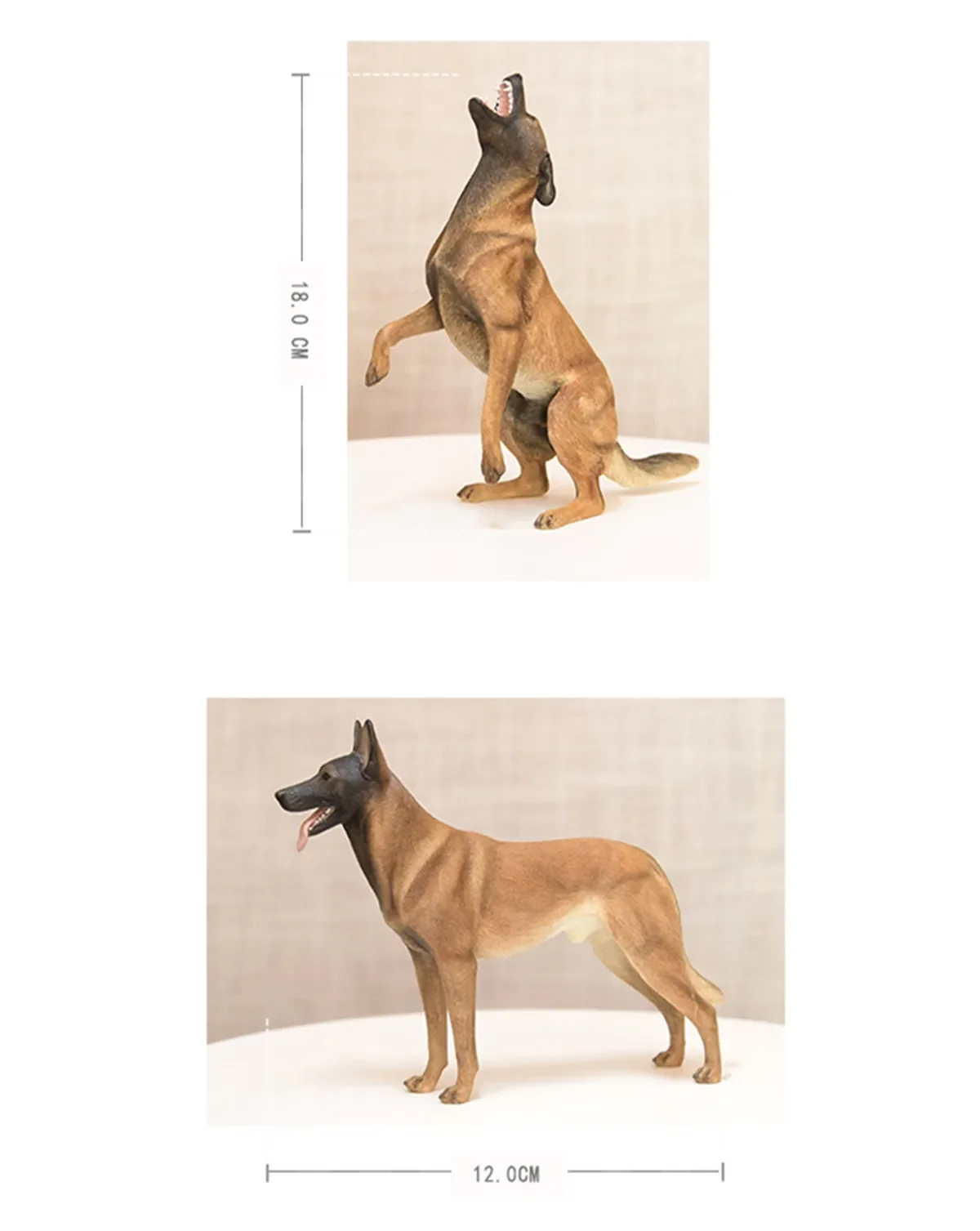 PAWFASHION-Figurine de chien malinois belge, modèle animal, jouet de collection, cadeau de simulation, 1/6