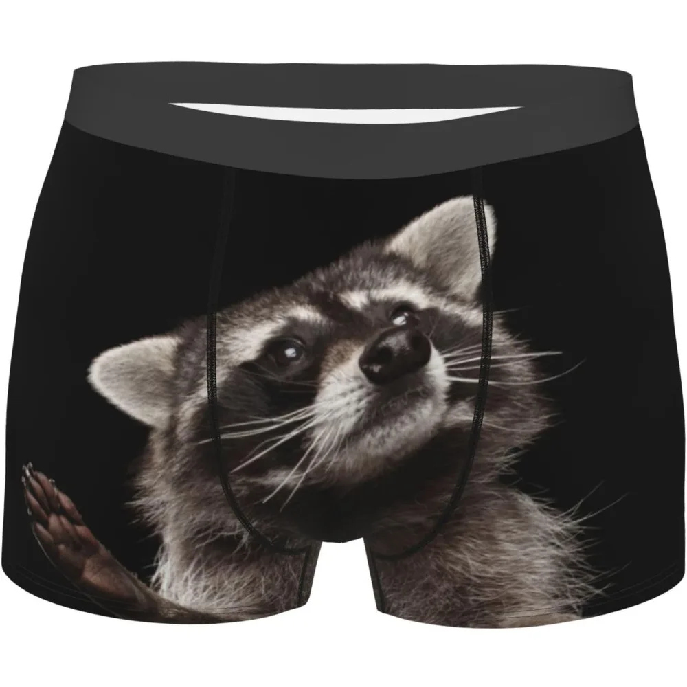 

Funny Raccoon Mens Boxer Briefs Underwear Breathable Stretch Boxer Trunk