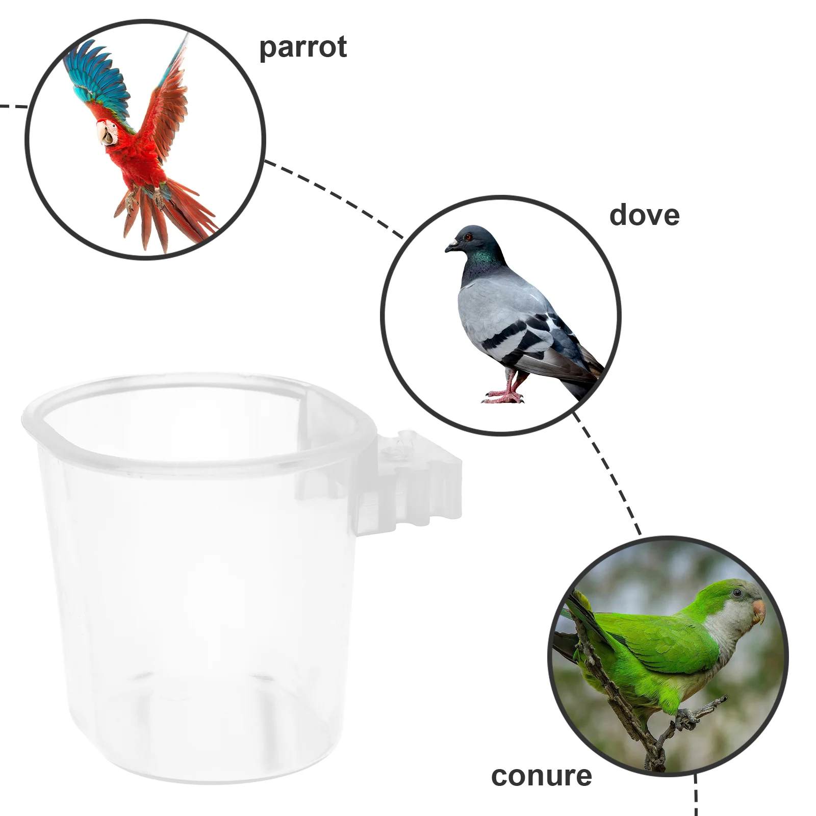 

10 Pcs Parrot Feeder Bird Feeding Accessory Cage Hanging Cup Bowl Parakeet Water