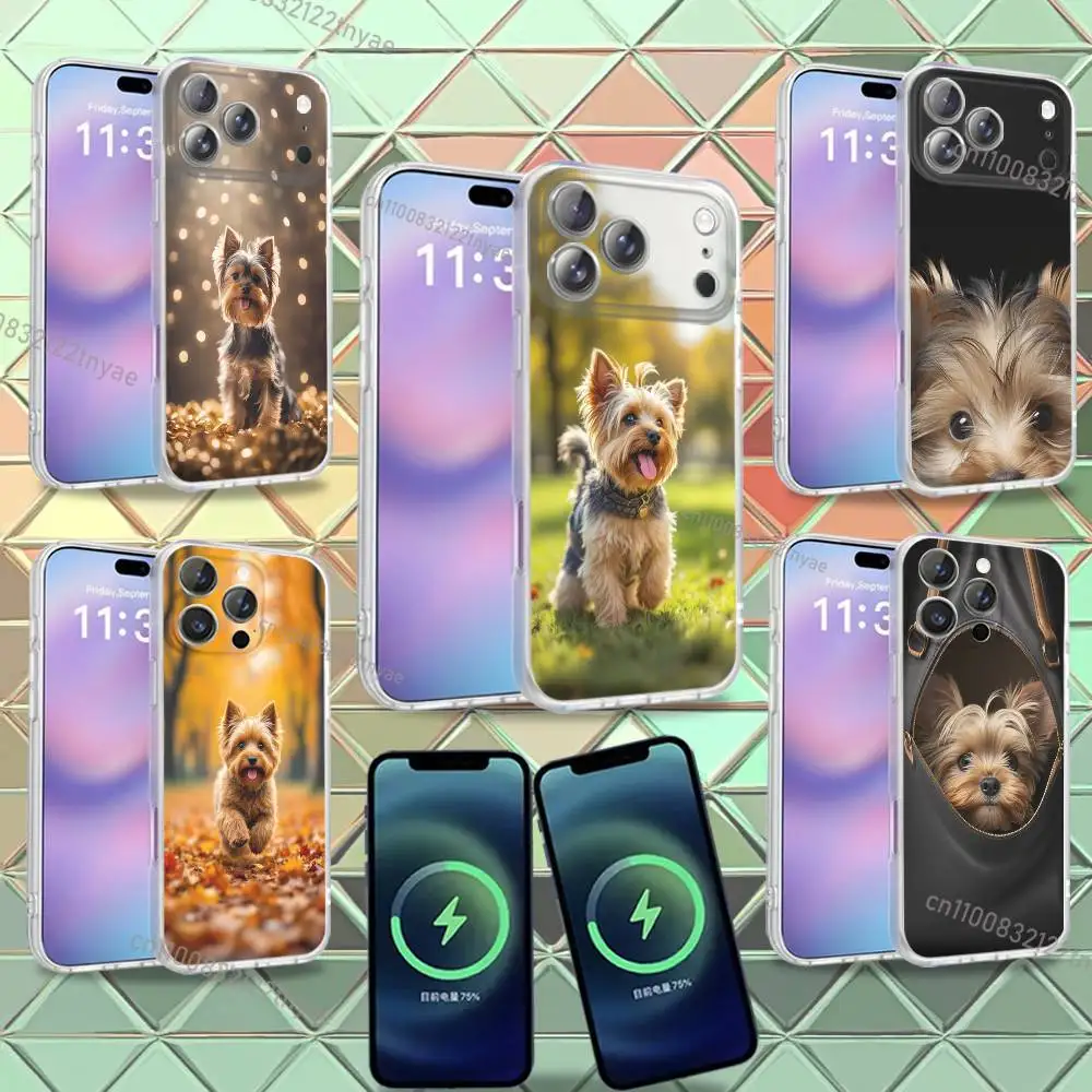 

Yorkshire Terrier Dog Phone Case For iPhone 16,14,11,17,13,15,12,Air,Plus,Pro,Max,E,Mini Frosted for MagSafe Magnetic