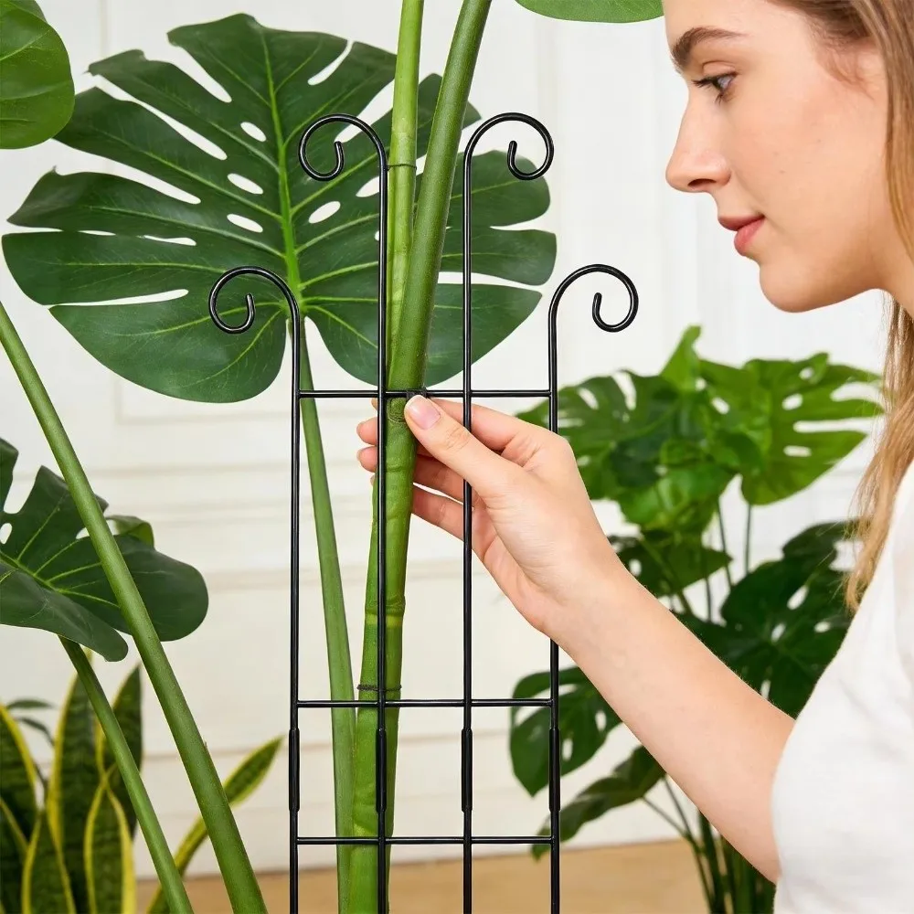 Metal Plant Trellis Sturdy Construction Indoor Outdoor Use Vertical Garden Support Space Saving Rust Resistant Climbing Stake
