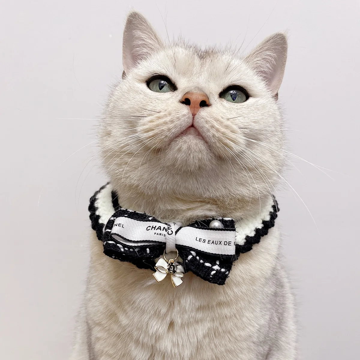 Pet Cat Dog Floral Edge Hand Hook Collar Classic Black White lavorato a maglia Cat Collar Cute Cat And Dog Necklace Pet Collar