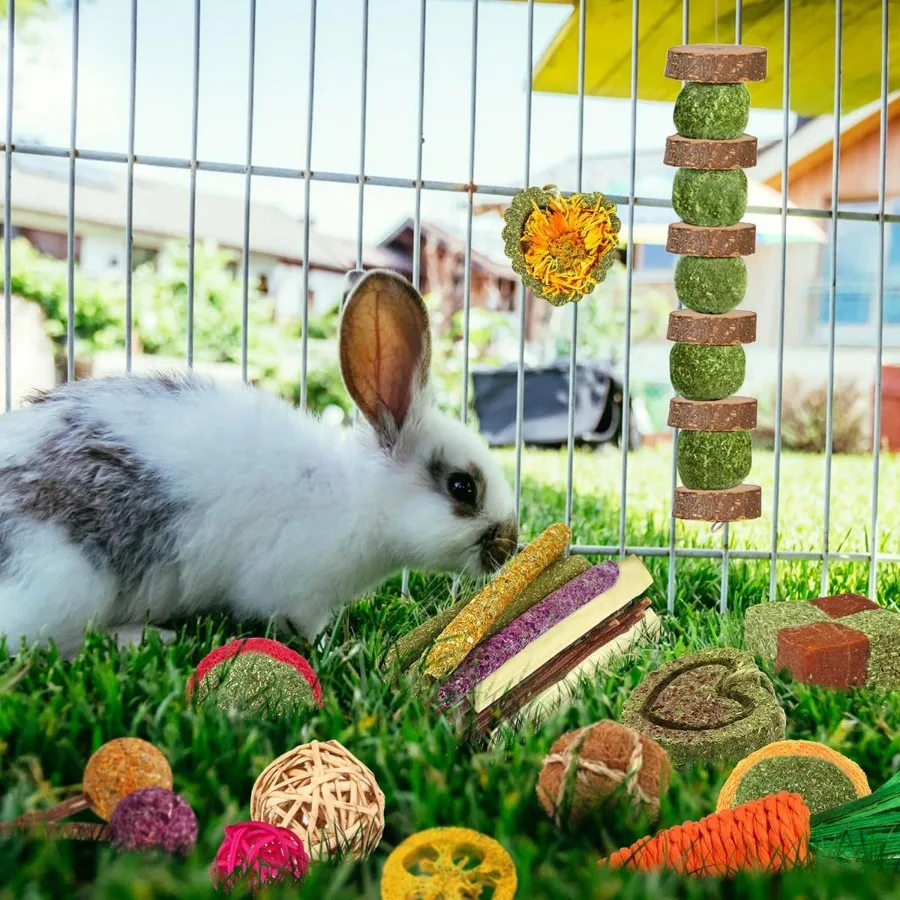 أعواد خشب تيموثي وقش التفاح الطبيعية للحيوانات الأليفة الصغيرة للعناية بالأسنان مجموعة ألعاب مضغ يدوية مكونة من 27 قطعة مثالية للأرانب