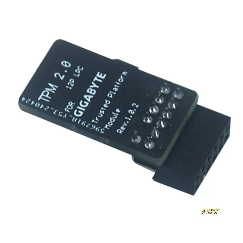 3X TPM2.0 Modul LPC 12Pin Modul mit Infineon SLB9665 Windows 11 Upgrade für Gigabyte Motherboard für GC-TPM2.0 S