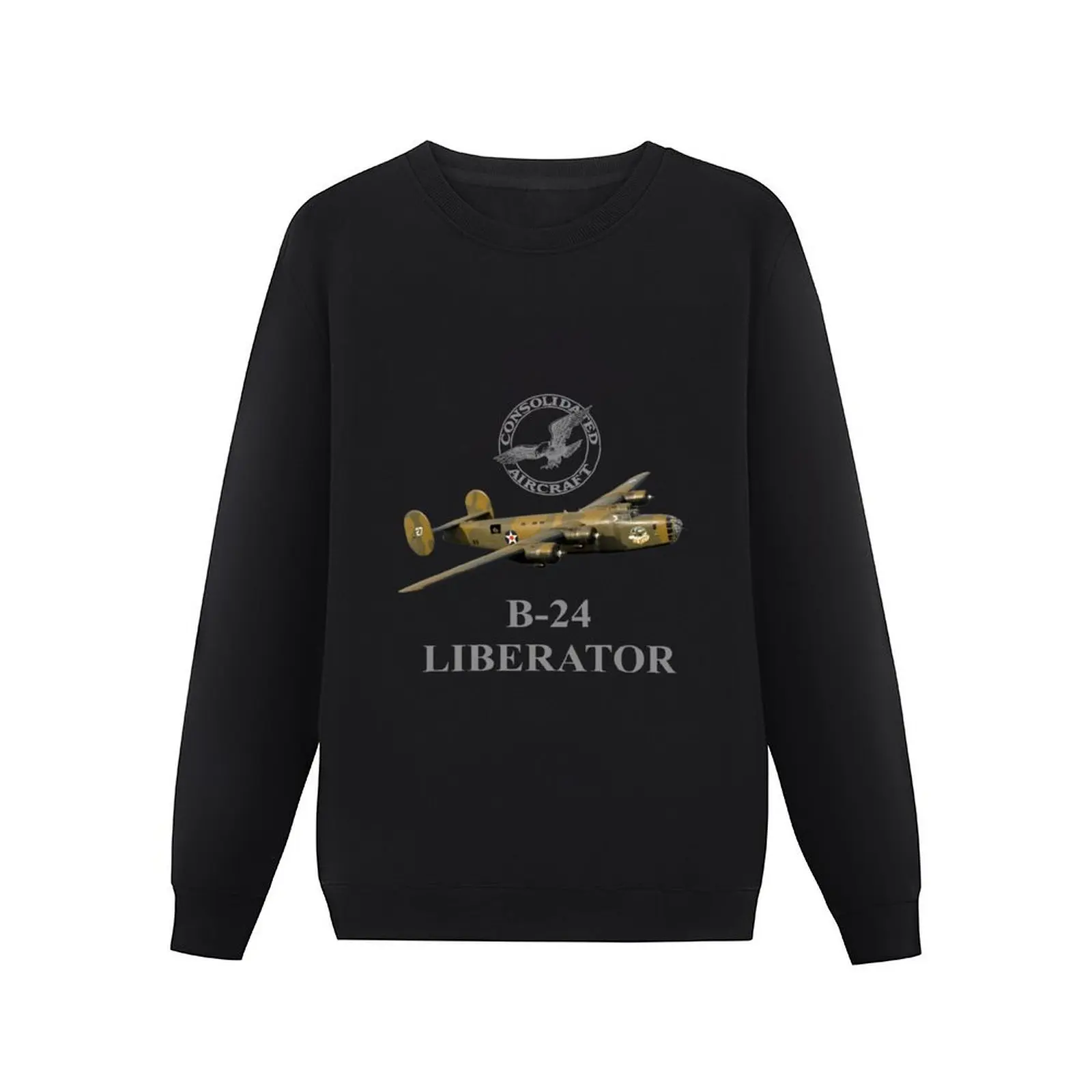 Consolidated B-24 Liberator ww2 American heavy bomber Pullover Hoodie men's sweat-shirt set sweatshirts