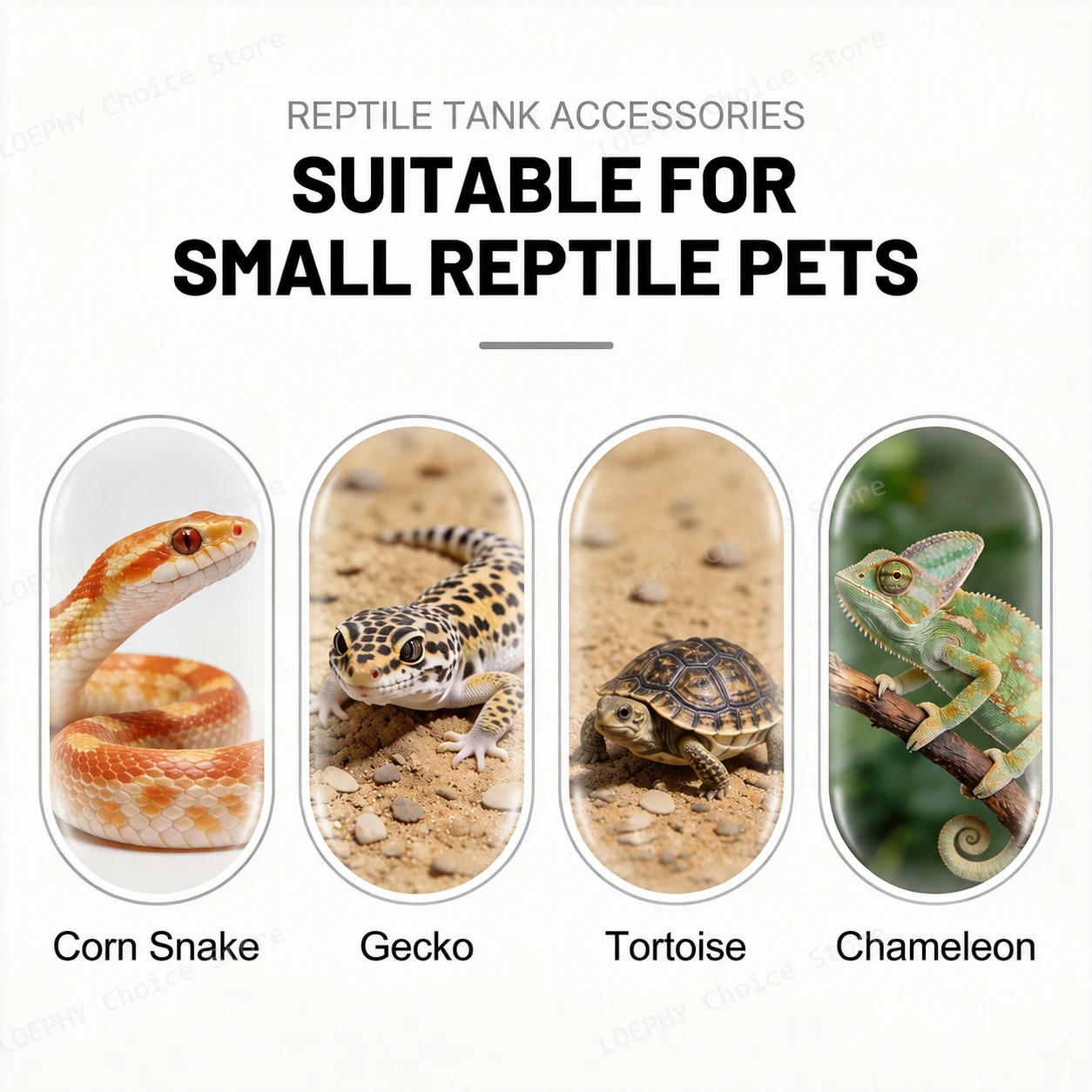 Funny Frying Pan Design Gecko Water Dish Food Grade PETG for Leopard Gecko Crested Gecko Bearded Dragon  for Terrarium Setup - view 2