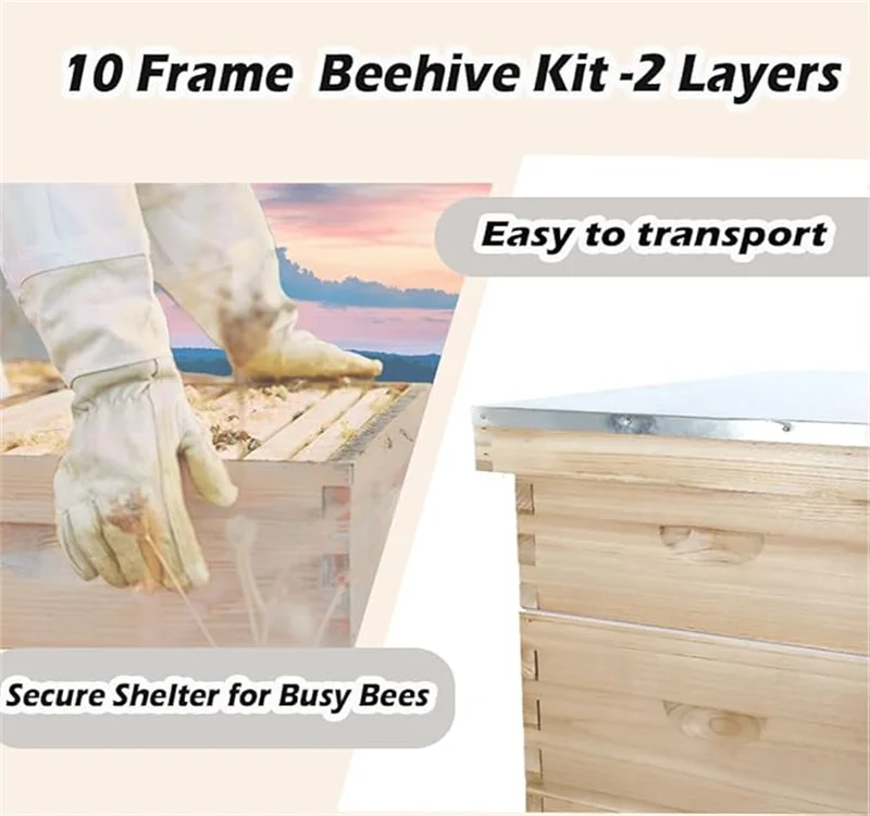 Entry Kit Bee Box Frame Bijenwas gecoate foundation Imker Honingraat