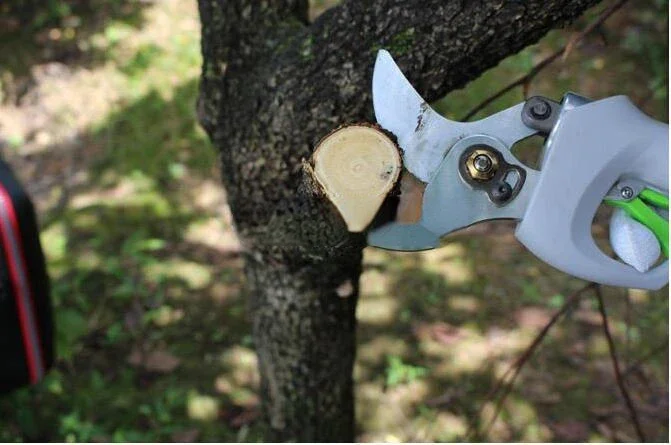 Electric Pruning Shears High Speed Cutting Tools Electric Hedge Trimmers Garden Cutter DJ-045