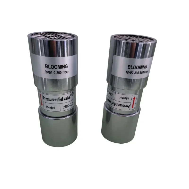 

RV-01 G2inch 0-600mbar Предохранительный клапан из алюминиевого сплава, используемый для воздушной кольцевой воздуходувки высокого давления, вакуумный насос для фрезерного станка