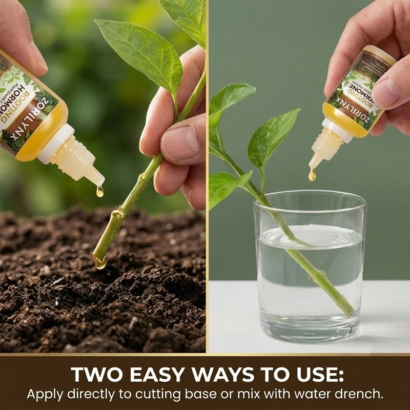 Advanced Rooting Hormone Plant Growth Solution Promotes Strong Root Growth and Faster Development for Healthy Plants - ZORILYNX