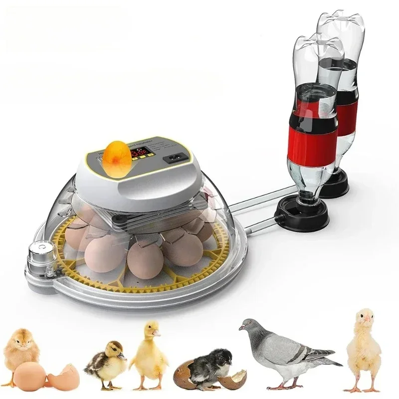 8 Egg Automatic Incubator for Eggs Brooder Chicken Duck Quail Birds Electric Incubation 12V 110V 220 V Incubators