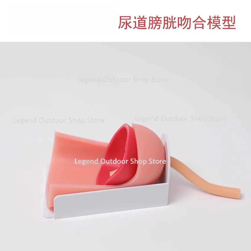 

Учебное оборудование для моделирования лапароскопической хирургии, тренировочная коробка, модель анастомоза для упражнений/мотра-пузыря