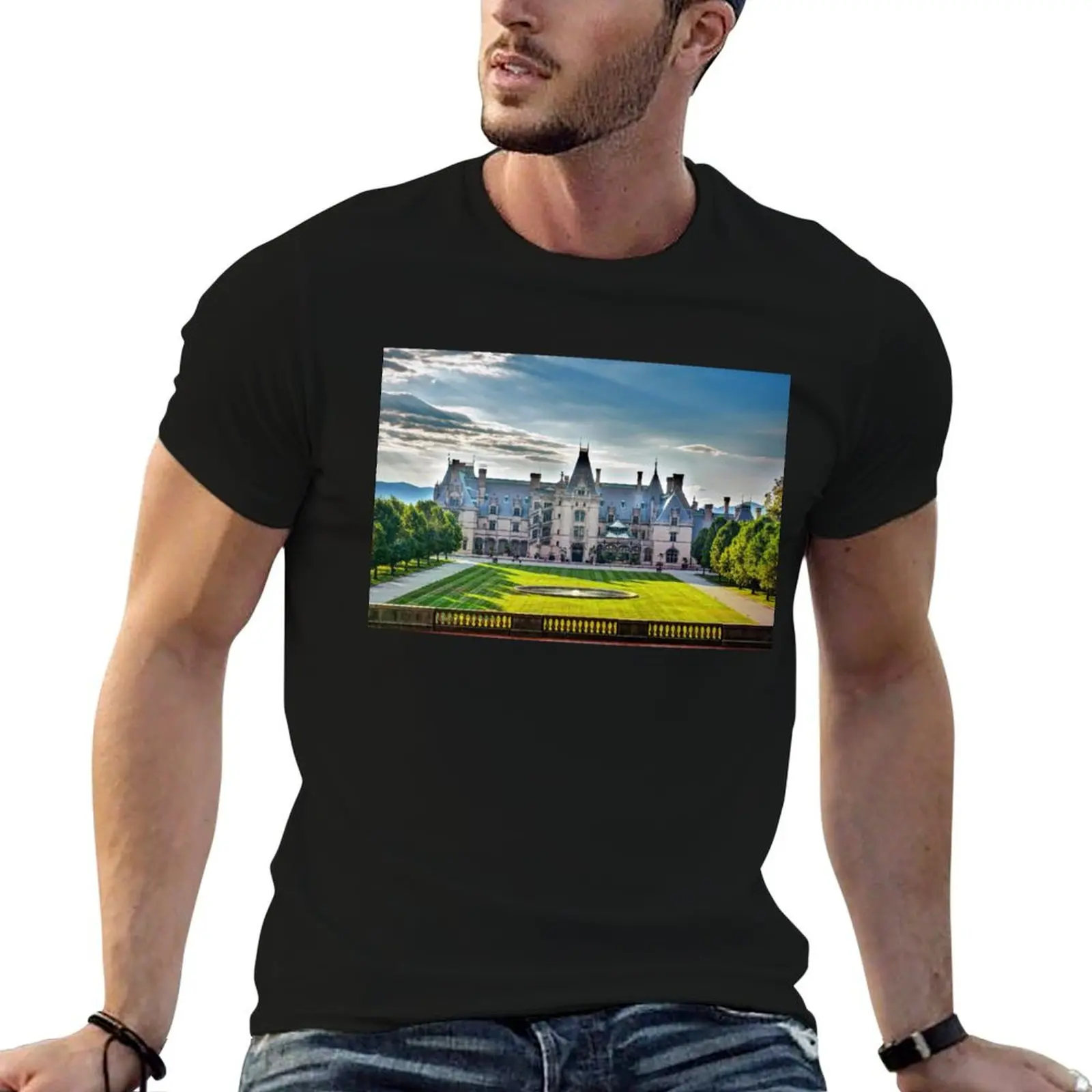 The Biltmore House T-Shirt rapper graphic tees blue archive blanks customs design your own mens champion t shirts