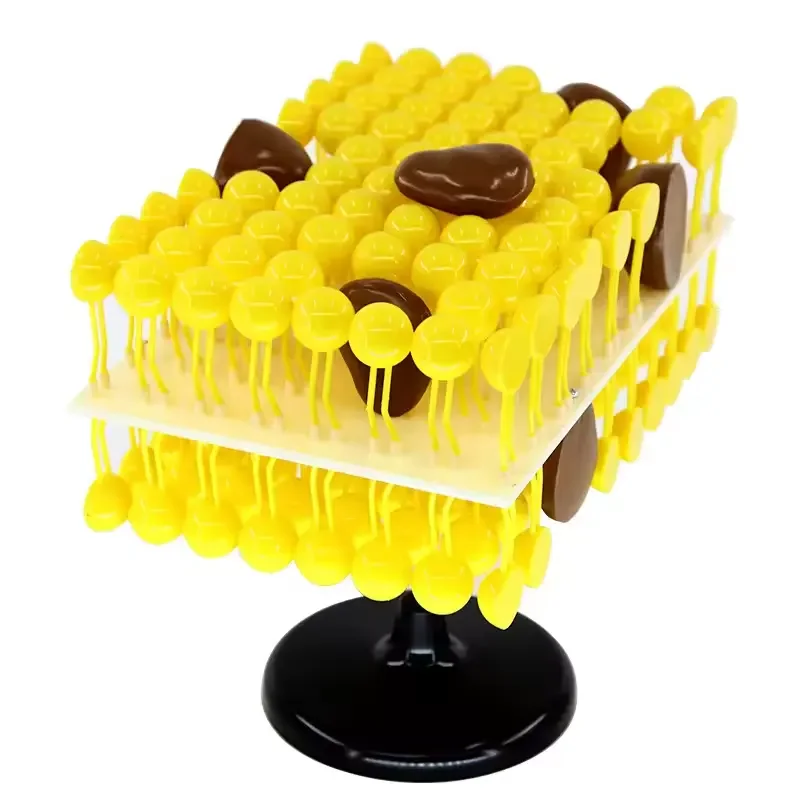 

Flow Cell Mosaic Model Medical Teaching Equipment Biology Biological Model Teaching Aids