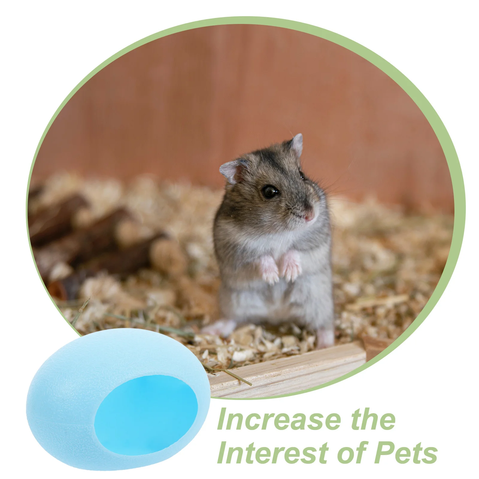 ที่หลบซ่อนรูปไข่พลาสติกสำหรับสัตว์เล็ก เช่น หนูแคระ เจอร์บิล ชินชิลล่า กระรอก เม่น