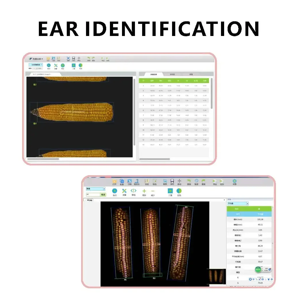 Corn Analysis System Crops Study Analyzer Corn Scanner