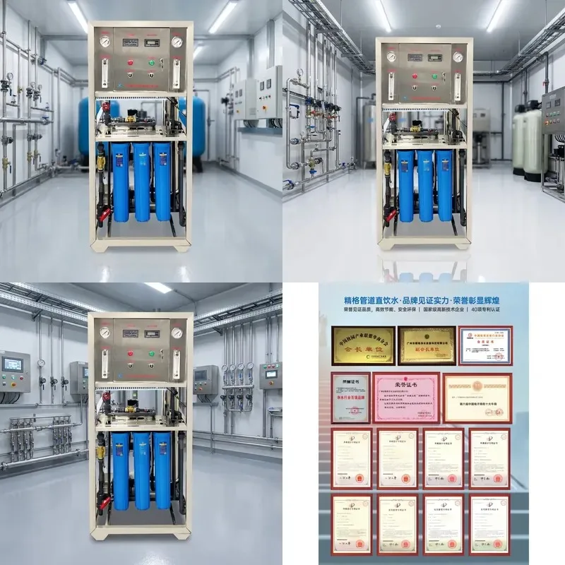500LPH Whole House RO Water Purifier with Pump Reverse Osmosis Treatment System Equipment from China