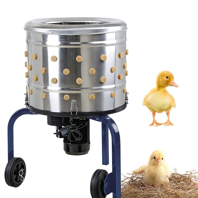

Hot Sale Stainless Steel Poultry Feather Plucker / Chicken Drum Plucking Machine / Quail / Pigeon Feather Plucker for Sale