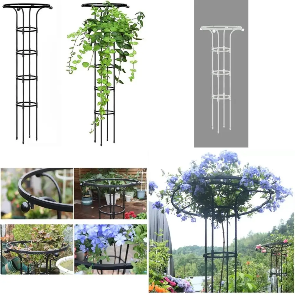 

Outdoor Garden Trellis for Climbing Plants: Support Structure for Roses, Clematis, and Flowering Mushroom Roses