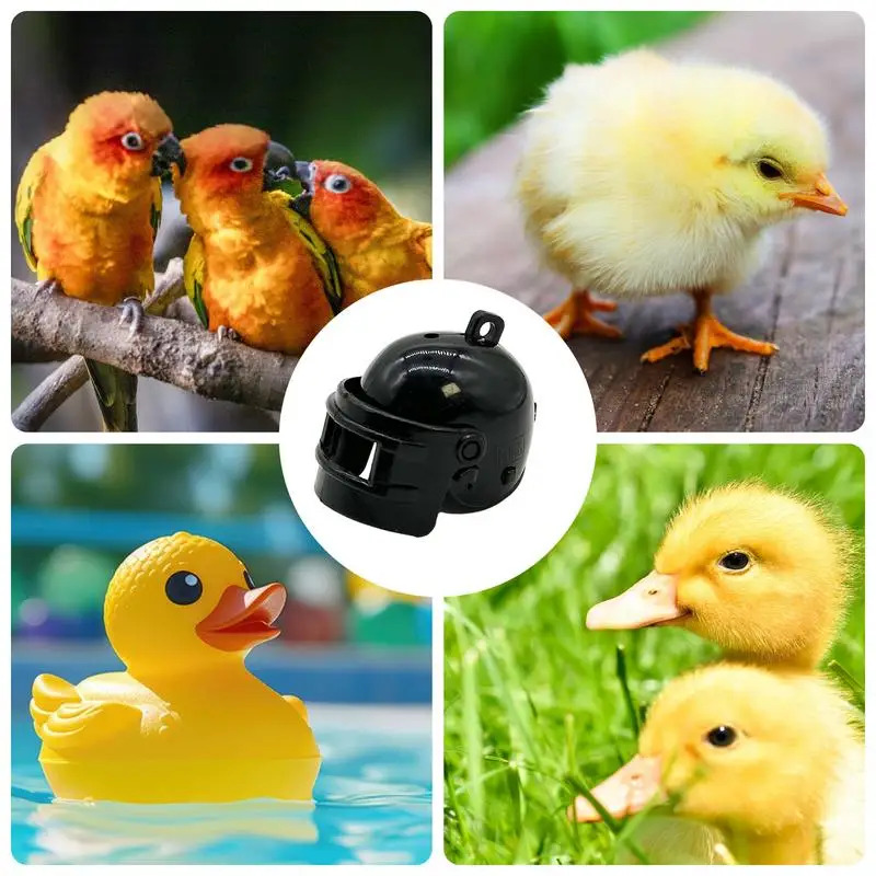 Chapéu De Frango De Segurança Ajustável Para Papagaios, Chapéu De Proteção Para Aves, Brinquedo De Galinha, Proteção para Papagaios