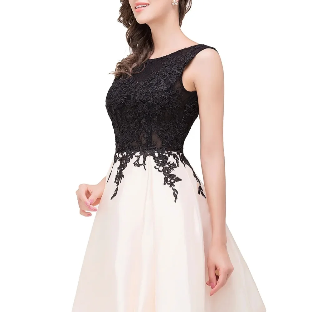 Sexy Lace Reveal A Line Skirt Cocktail Dress Back Mini Party Dress Evening Dress Formal Party Dress Special Occasion Dress