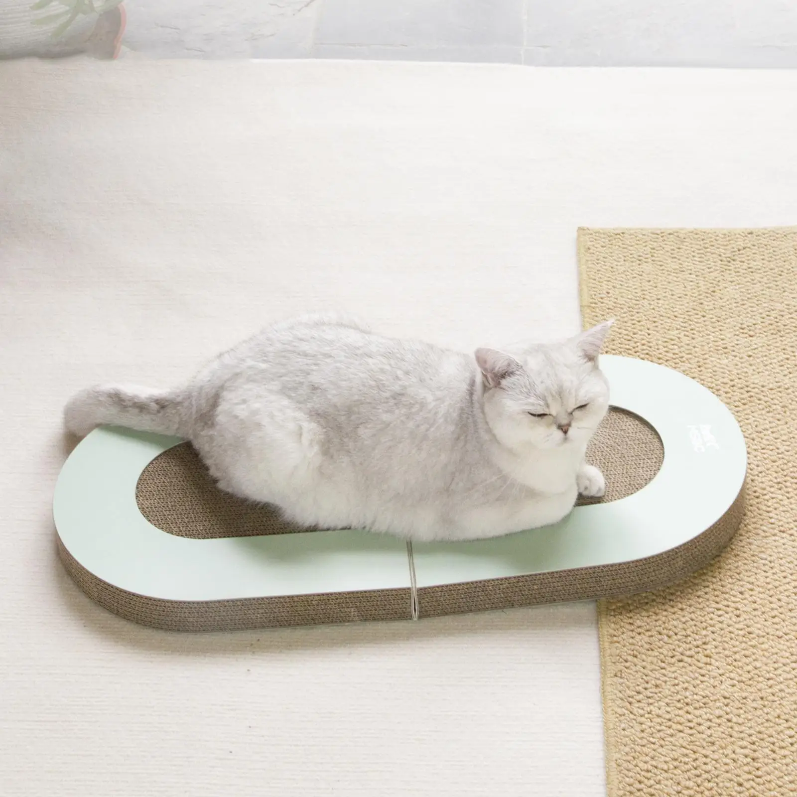 Planche à gratter en carton pour chat, tapis à gratter pliable, accent, salon à gratter, lit pour aider