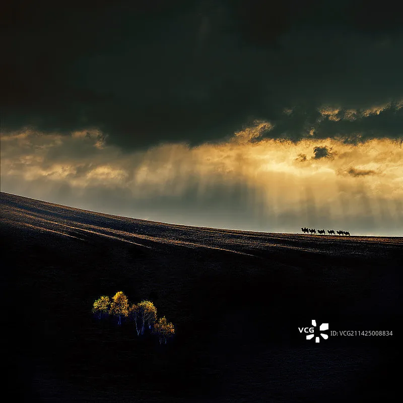 

Очки Walksnail Avatar HD L с 3-осевым подвесом GM1/GM2/GM3 (без камеры) для FPV Drone CADDXFPV