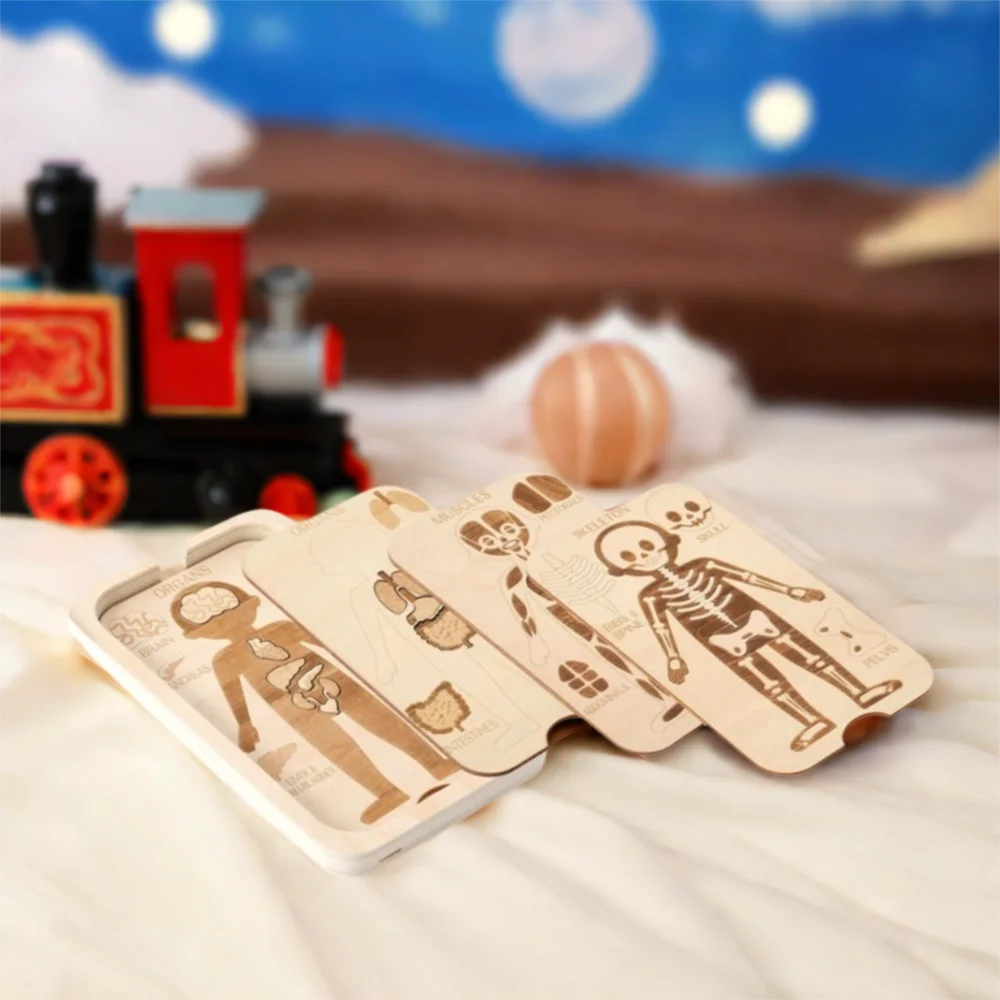 

Дизайн головоломки Монтессори Головоломка Конструкция человека Образовательная анатомия Орган Головоломка Модель органов Обучение структуры человека