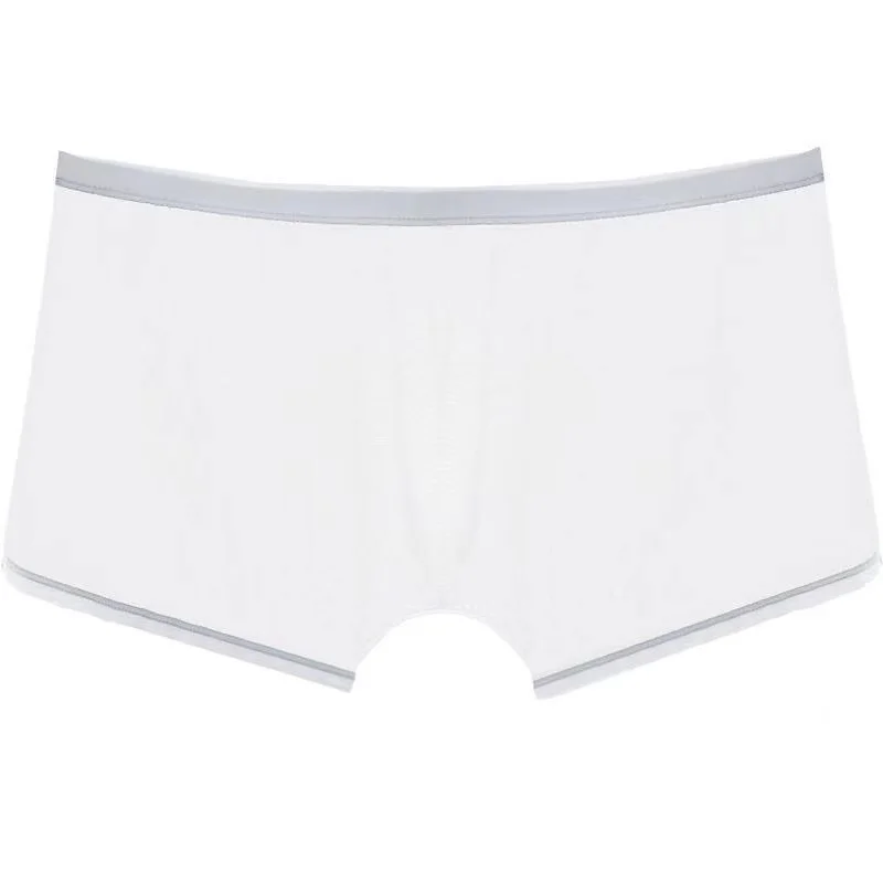 Underwear Transparent Boxers Bulge Ice Silk See Through Underpants Sexy Briefs Low Waist Panties Lingerie Intimates image 2
