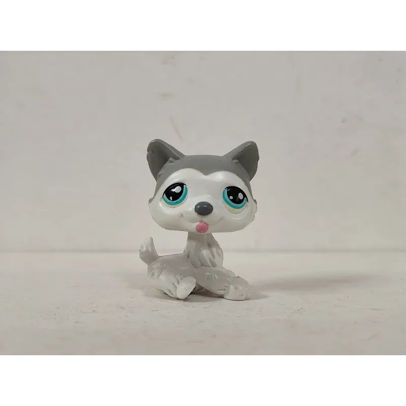 LPS Action Figure littlest pet shop Husky Grey White Dog Blue Dot Eyes #69 kid toy