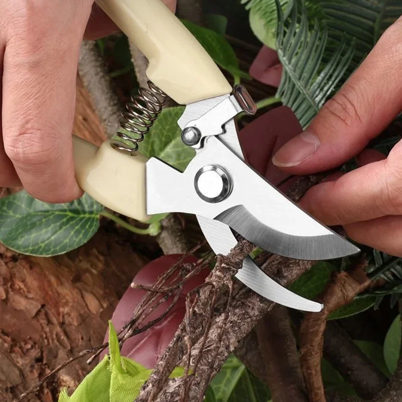 Edelstahl Schere Blume Cut Anordnung Beschneiden Obst Baum Garten Zweig Schneiden Haushalt Pfropfen Gartenarbeit Schere – Detail 13
