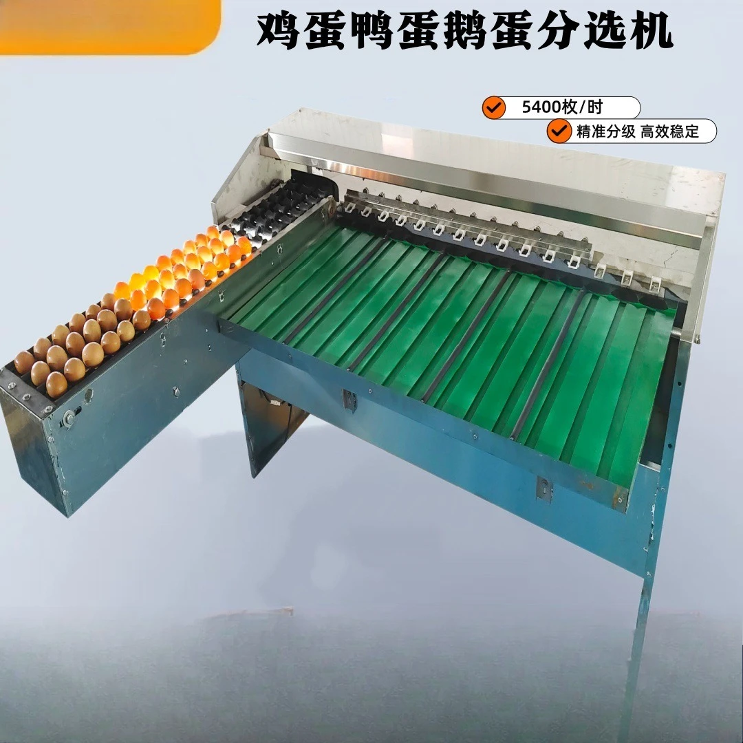 Commercial egg weight sorter, egg duck egg goose  stainless steel sorting, automatic sorting equipment