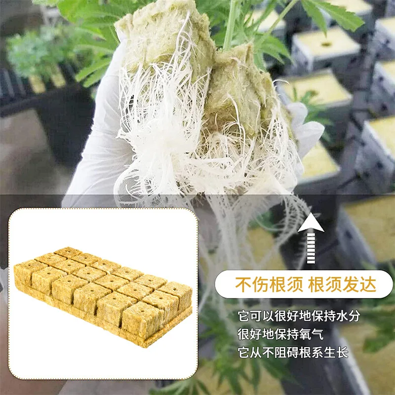 50/36/60/21 Stonewool Hydroponic Grow Media Cubes Plant Cubes Soilless Substrate Seeded Rock Wool Plug Seedling Block