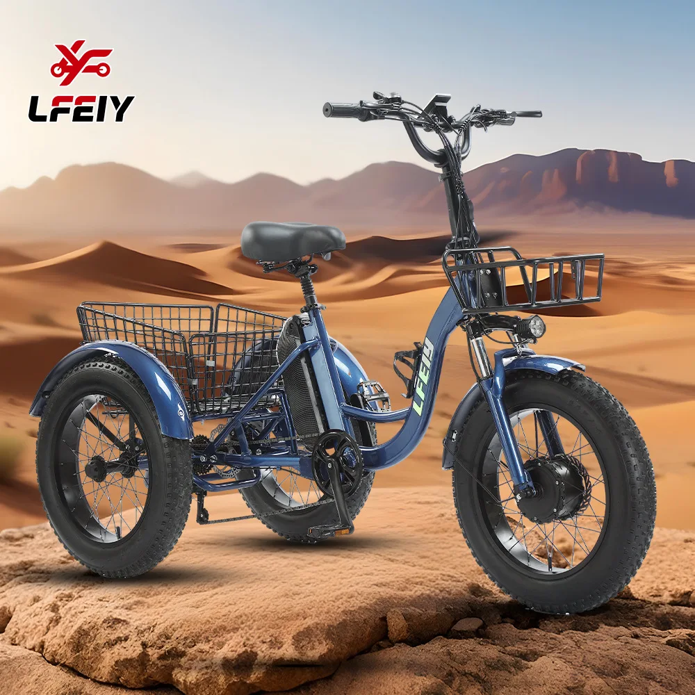 20 Inch Fat Tire Electric Tricycle With Pedal Assist 48V Lithium Battery Adult 3 Wheel E-Bike Snow Beach Off Road Electric Trike