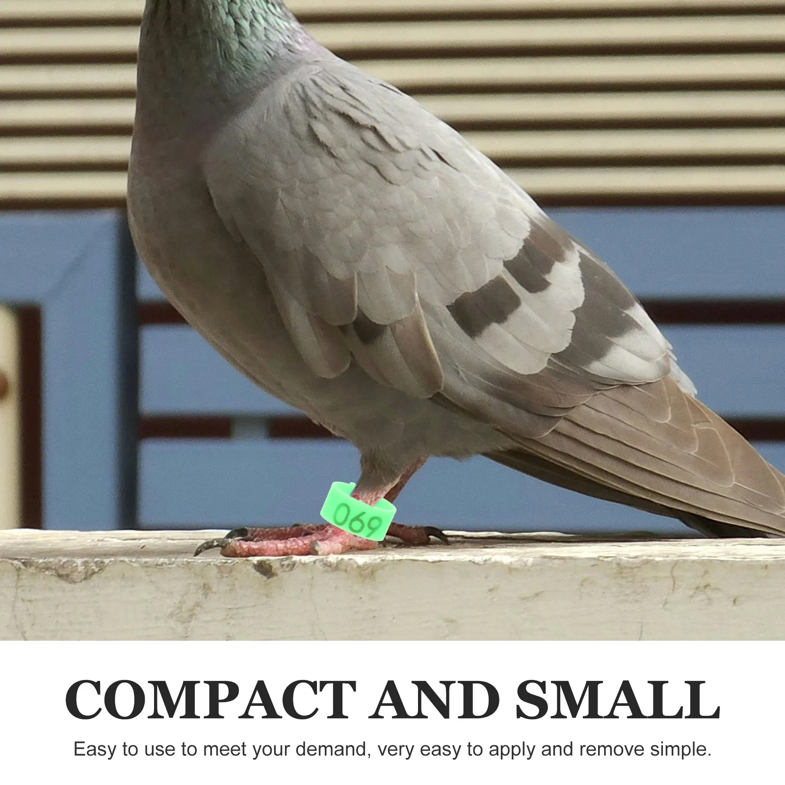

Numbered Bird Leg Bands Identification Strap Poultry Green Abs for Pigeon