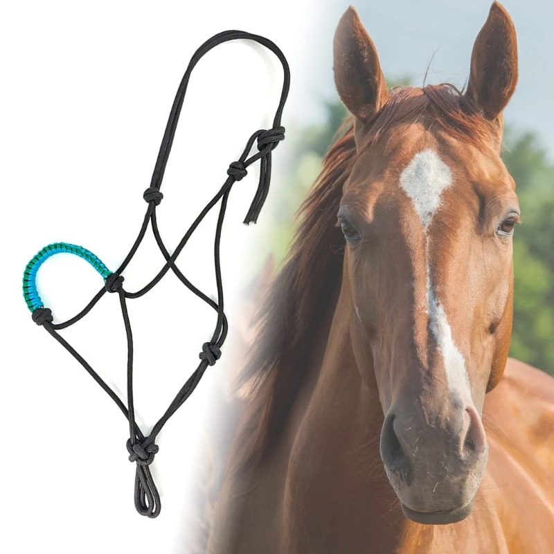 Herramienta entrenamiento caballos cuerda correas cabeza entrenamiento nudo Halter resistente desgaste