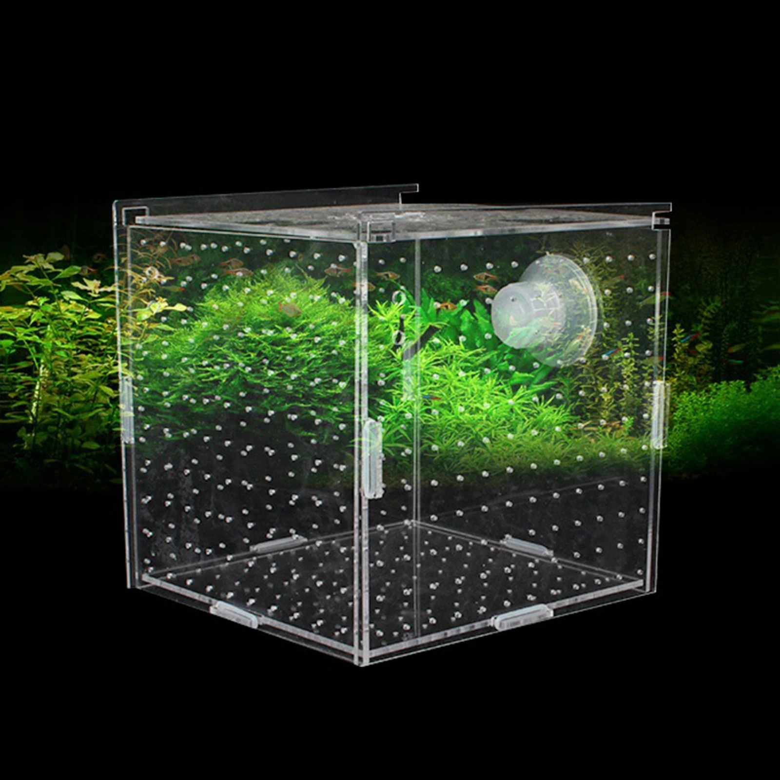 Fish Breeder Box Clear Durable Suction Cup Acrylic Aquarium Accessory for Clownfish Aggressive Fish Baby Prawn Shrimp Guppy