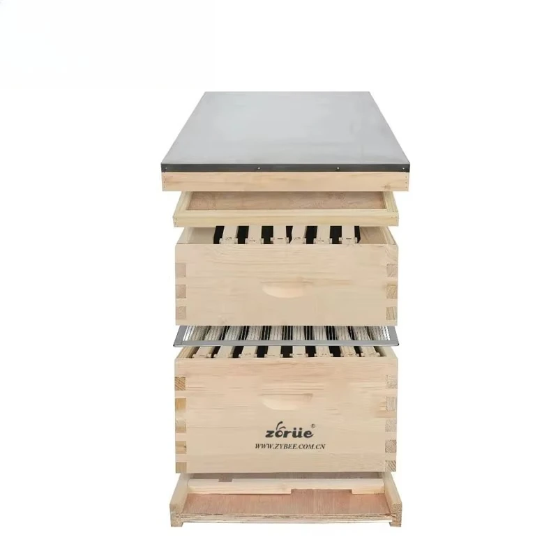 Beekeeping Equipment Wood 10 Frames / 8 Frame Langstroth Beehive / Bee Hive Box for Sale