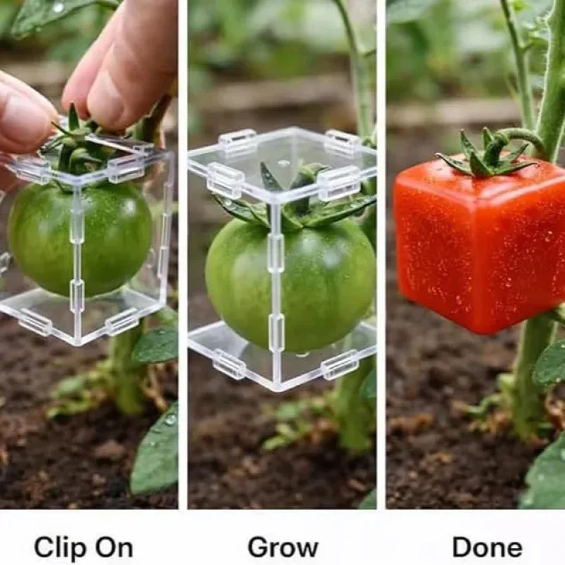 Mini Cube Triangle Fruit Shaping Mold Reusable Transparent Plastic Strawberry Tomato Growing Styling Tool Garden DIY