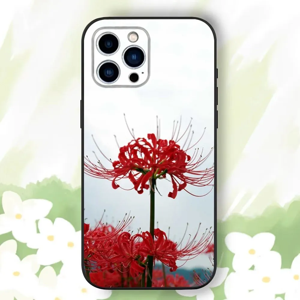 Red Spider Lily Flowers Phone Case For iPhone 16,15,14,13,12,11 Plus,Pro Max,XS,X,XR,SE,Mini,8,7，Soft Silicone Black Cover image 3