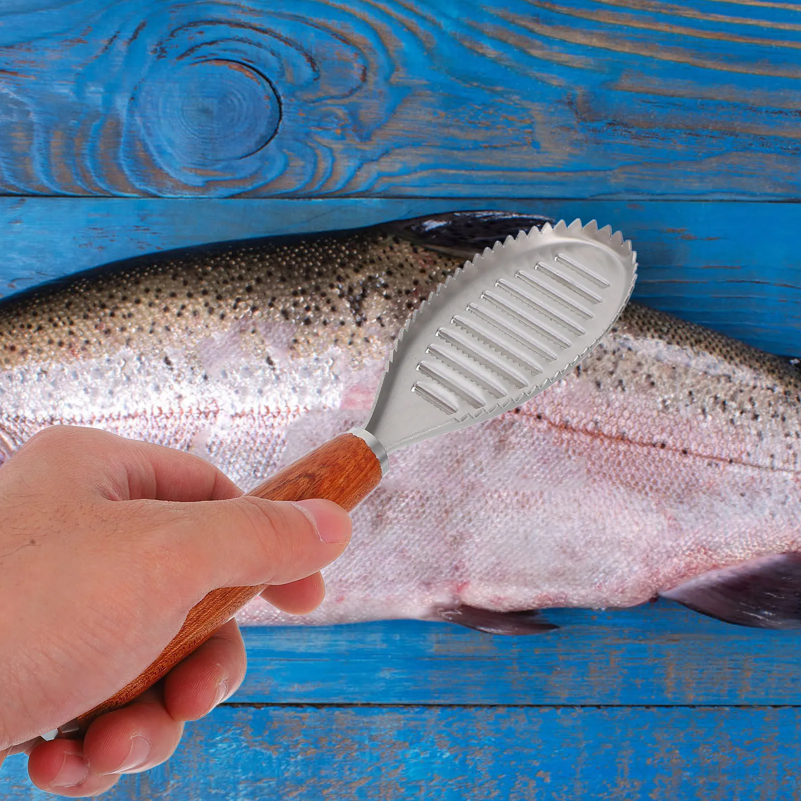 

Stainless Steel Fish Scale Scraper Ergonomic Handle Design Practical Kitchen Gadget Safe Convenient Use