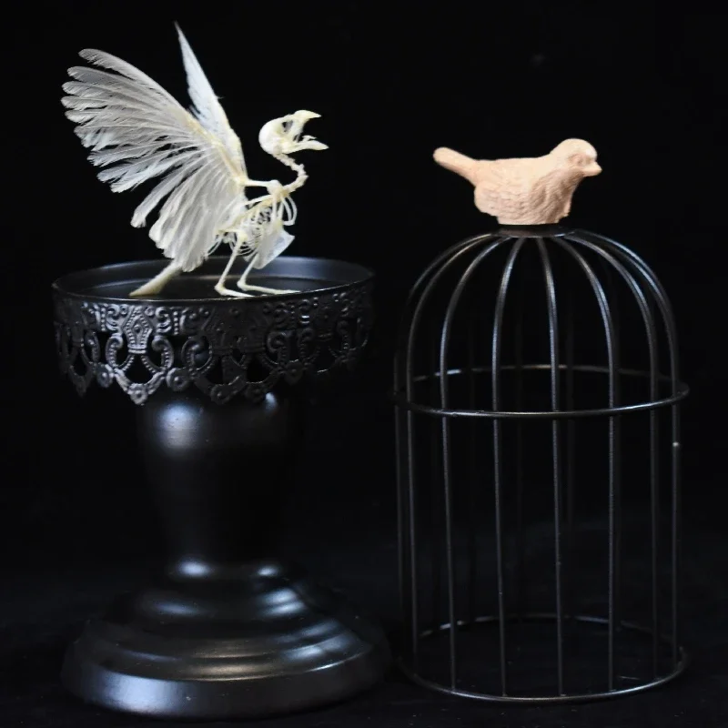 Imagem -06 - Custom Bird Bone Cage Tabletop Estilo Gótico Decoração de Quarto Espécime Ósseo Aniversário Presente Criativo Original 2001