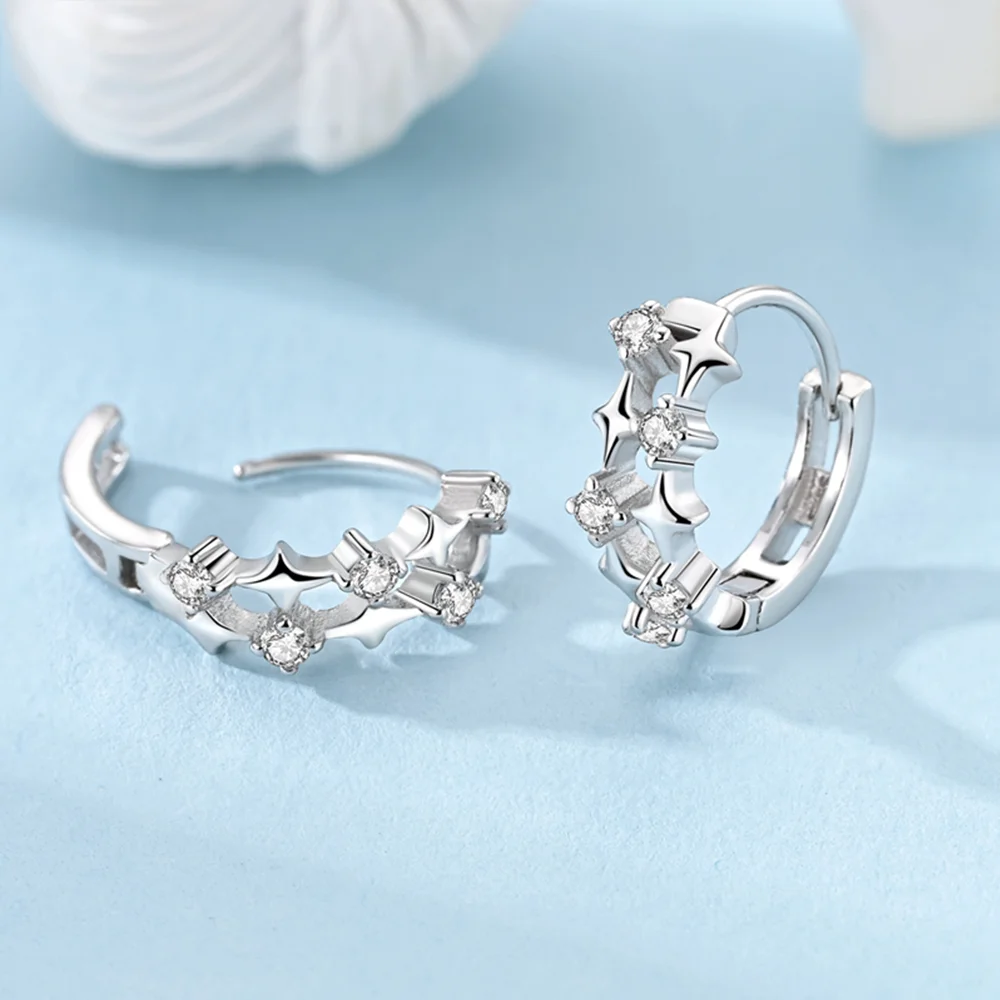 

925 Silver Colored Zircon Cute Pet Earrings Love Moonstone Flower Strawberry Stud Earrings for Women Fine Jewelry Party Gift