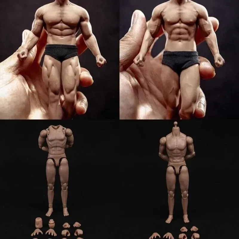 

TBLeague 1/12 Scale Male Soldier Super Flexible Seamless Joint Body for 6" Action Figures Dolls Model TM01A TM02A MB101/102