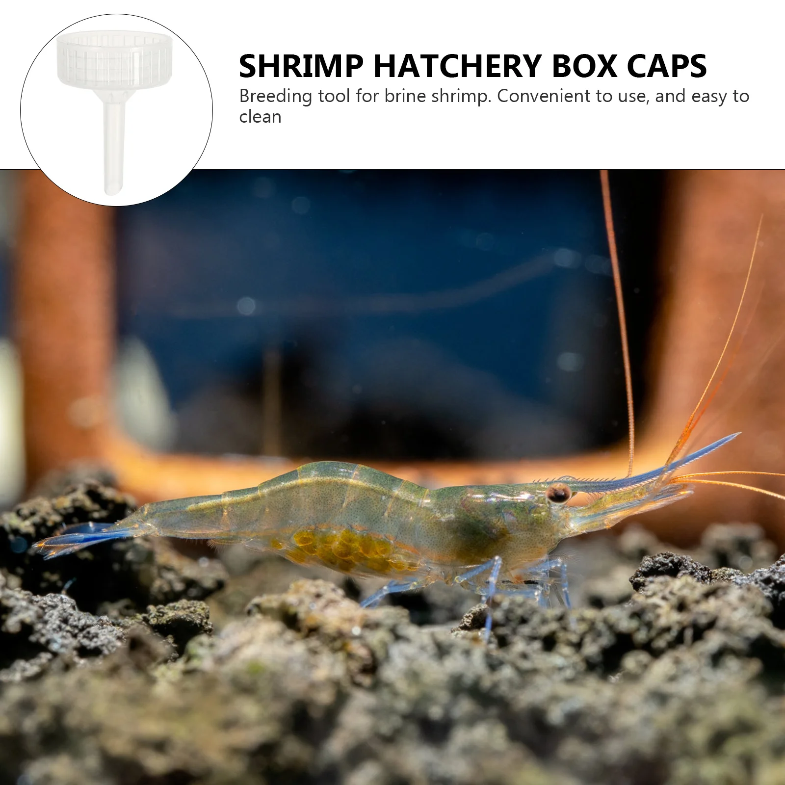 

20Pcs Brine Shrimp Incubator Caps Aquarium Shrimp Hatchery Bottle Caps Plastic Breeding Egg Hatching Tool Simple Practical