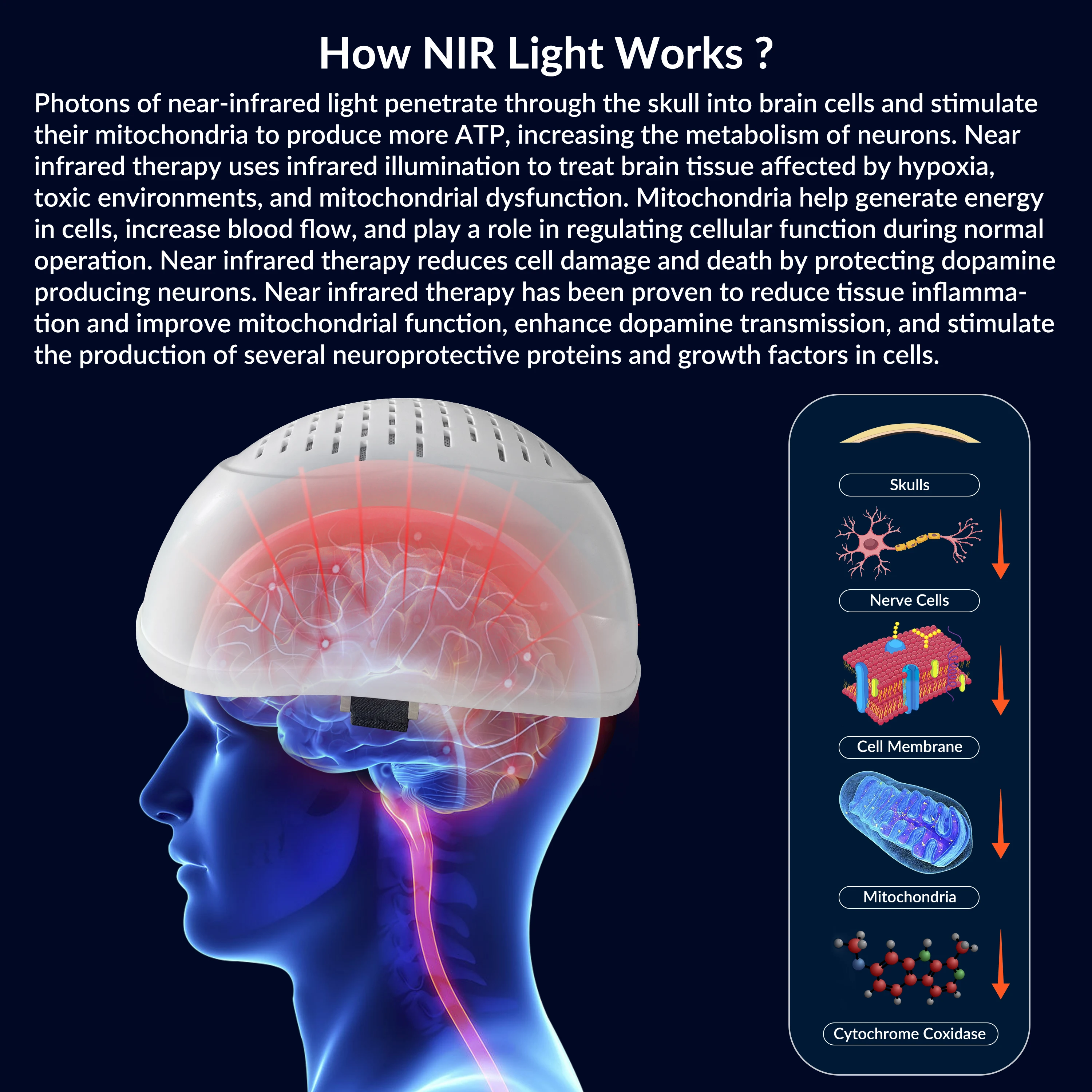 ZJZK Therapy Stroke Photobiomodulation Cap Infared Light Helmet For Brain Injury 1070nmx280diodes Mental Disorders Depression