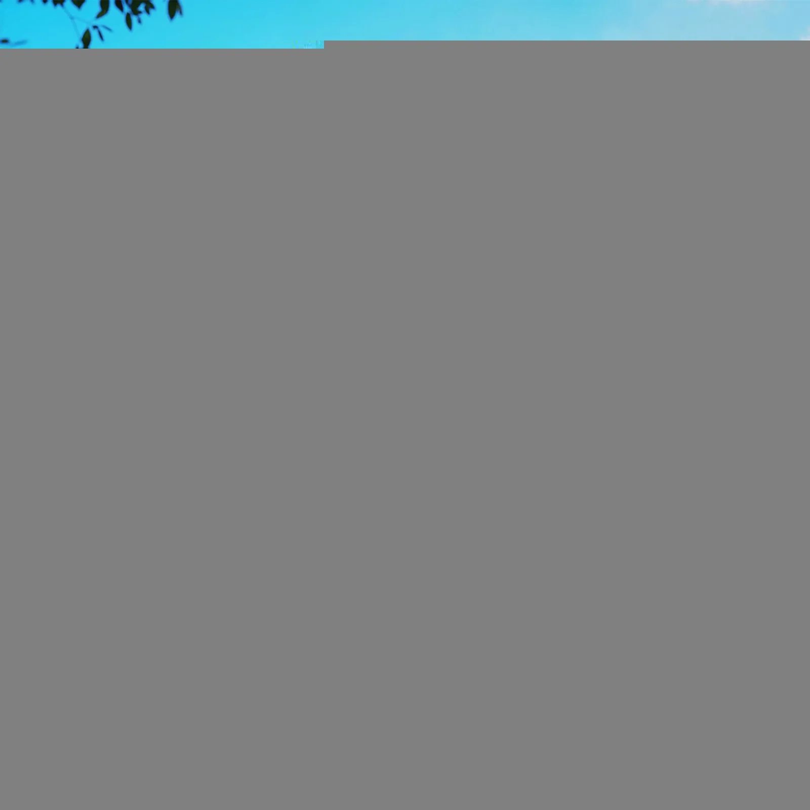 

10x20 ft Pop Up Canopy Tent, Heavy Duty Outdoor Canopy, Dark Gray